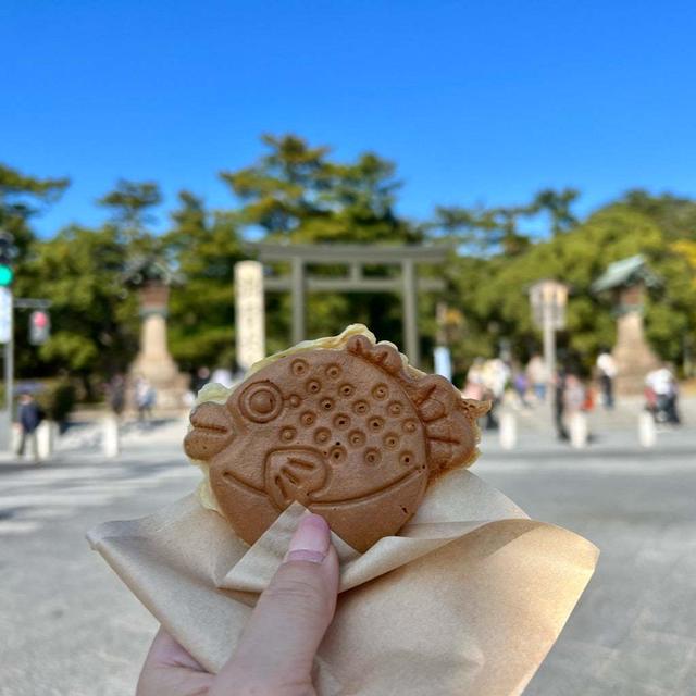 パワーあるムクノキ。と 出雲そば。と スタバの楽しみ。