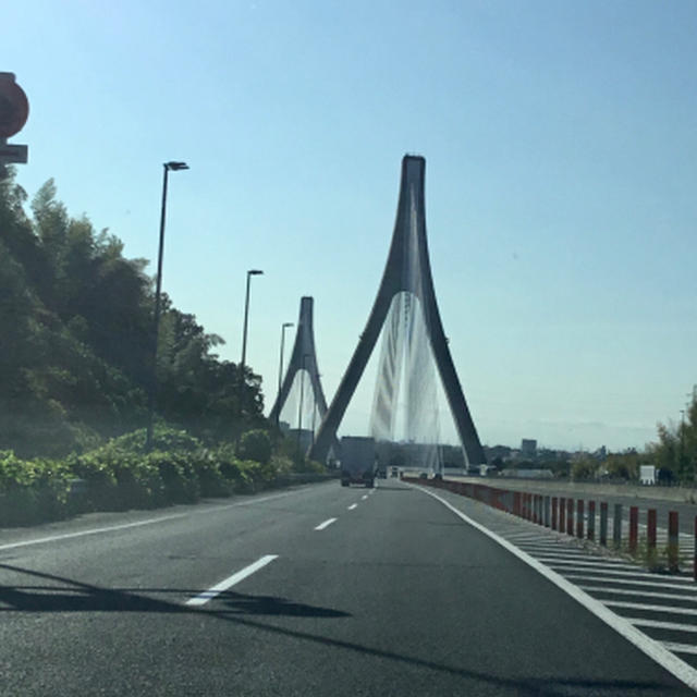 紅葉は進む？本日平日稼働です