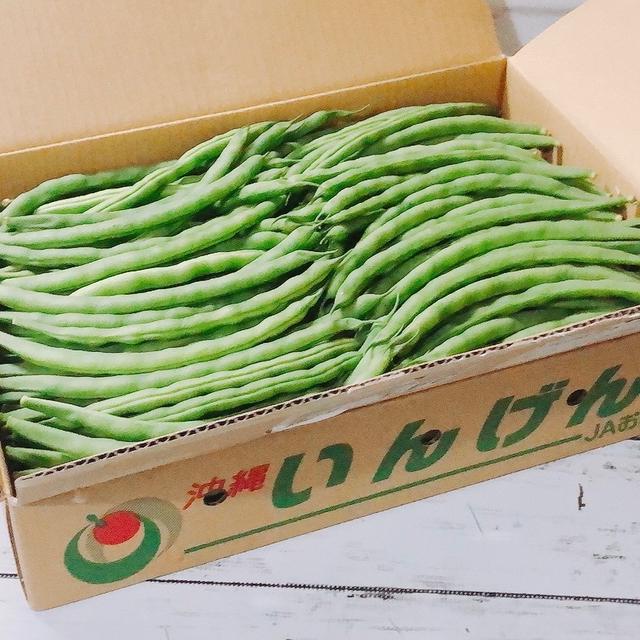 沖縄産いんげんの効能効果　いんげんの保存方法　生では食べられません　【モニター】