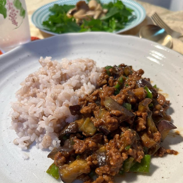 茄子とピーマンのキーマカレー