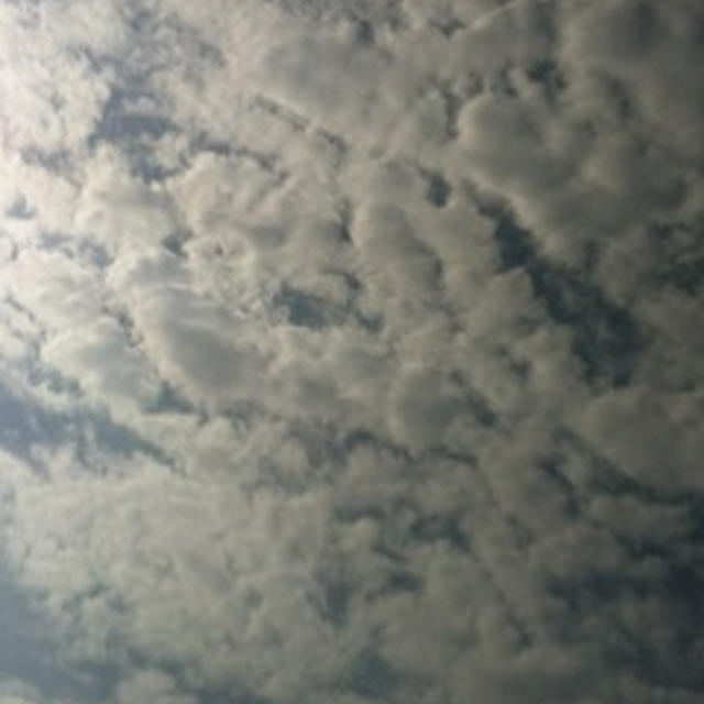 雨上がりの空