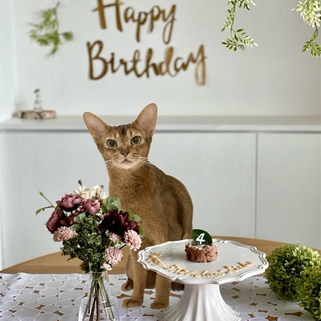 りす子、4歳のお誕生日会♪