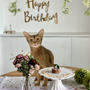 りす子、4歳のお誕生日会♪