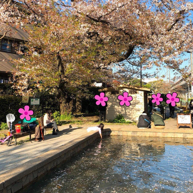 近所の公園に行きました〜！
