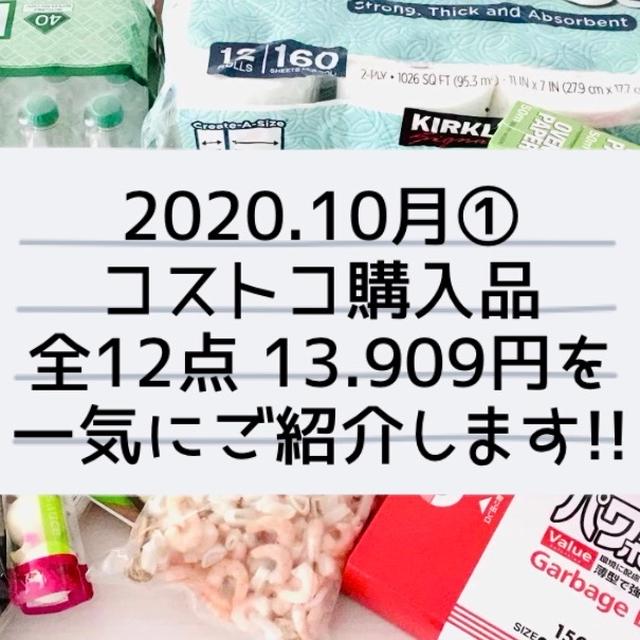 【コストコ】10月①購入品一気に紹介‼︎とリベンジで買えた物。とチヂミって…。