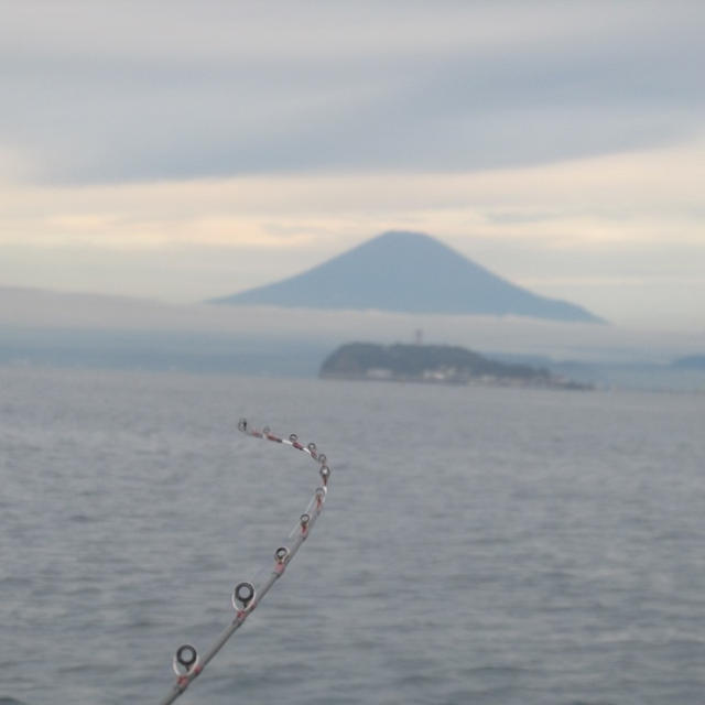 【相模湾・小坪】沖に行けないので近場で青物狙い