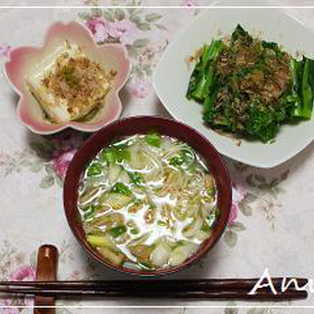 ☆ネギたっぷり、アツアツにゅうめん☆