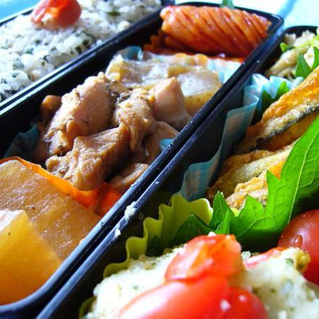 鶏肉の煮物弁当～☆