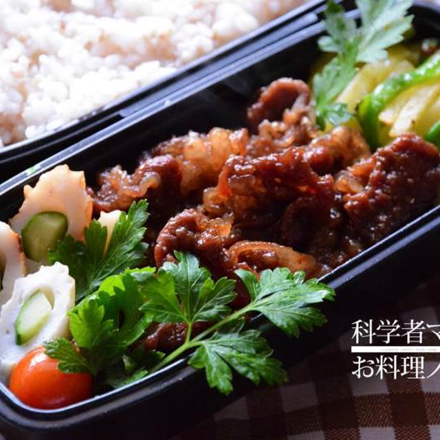 牛肉の甘煮がメインのお弁当～酒入りバージョン