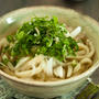 薬味うどん　