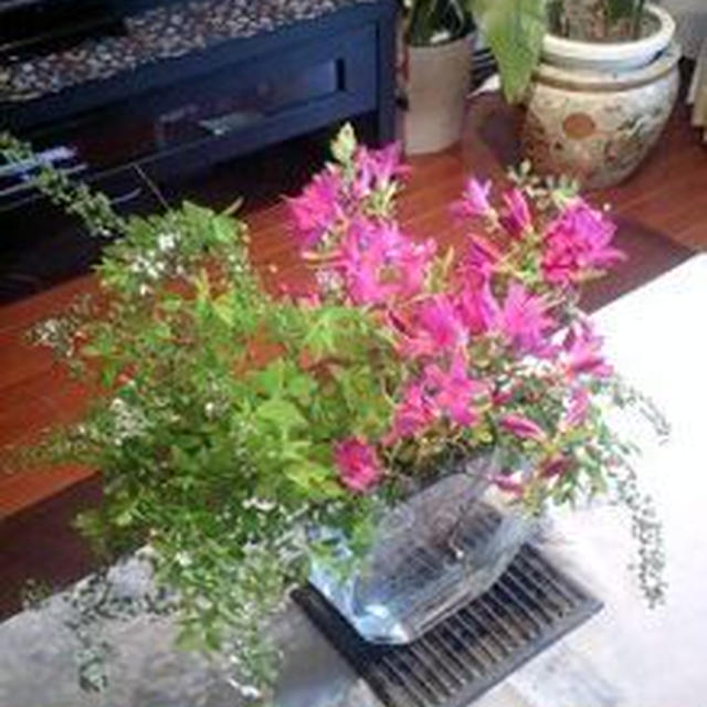 ビリヤニランチ　イチゴとバルサミコのジェラート　お花いっぱい♪