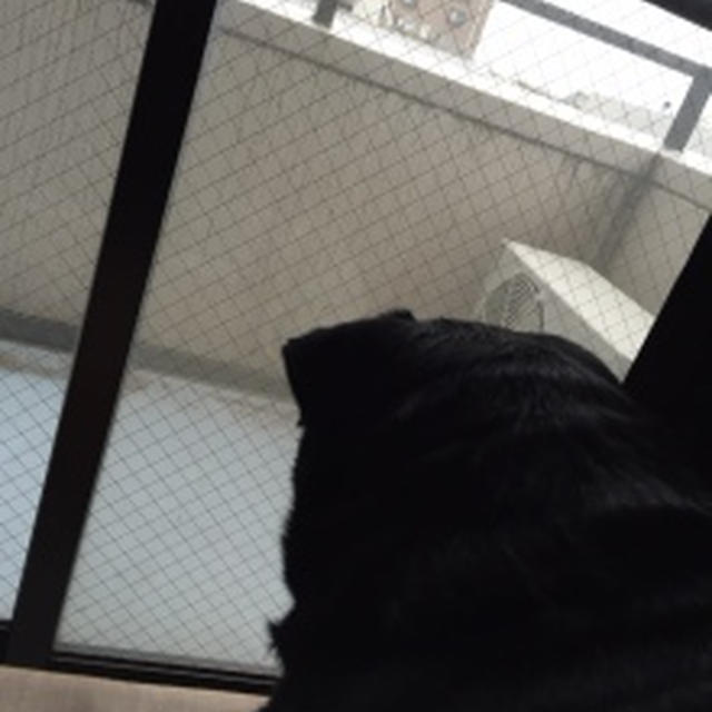 強風のお客様・・の巻