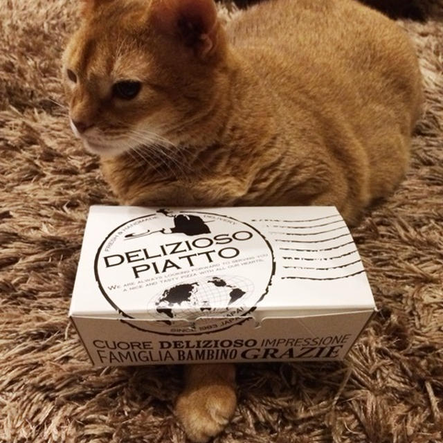 しょぼーん