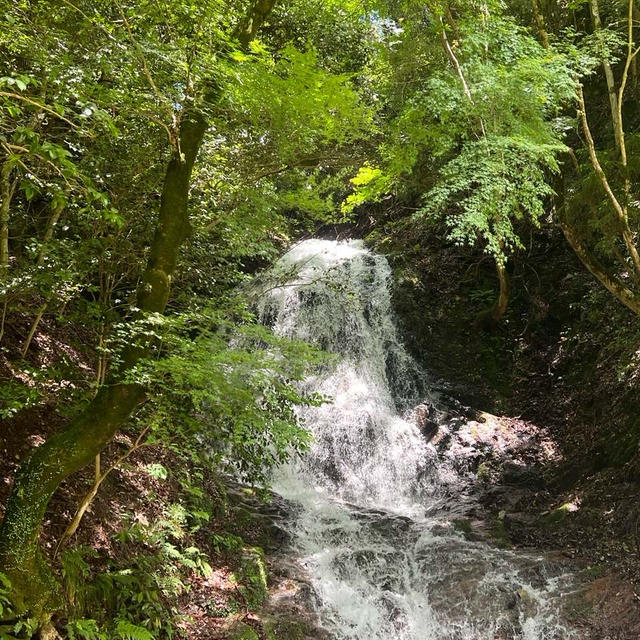 京都　大原　音無の滝