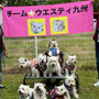 P2で犬猫LIFE撮影会