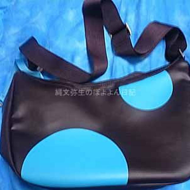 BREEのバッグをセールでゲット