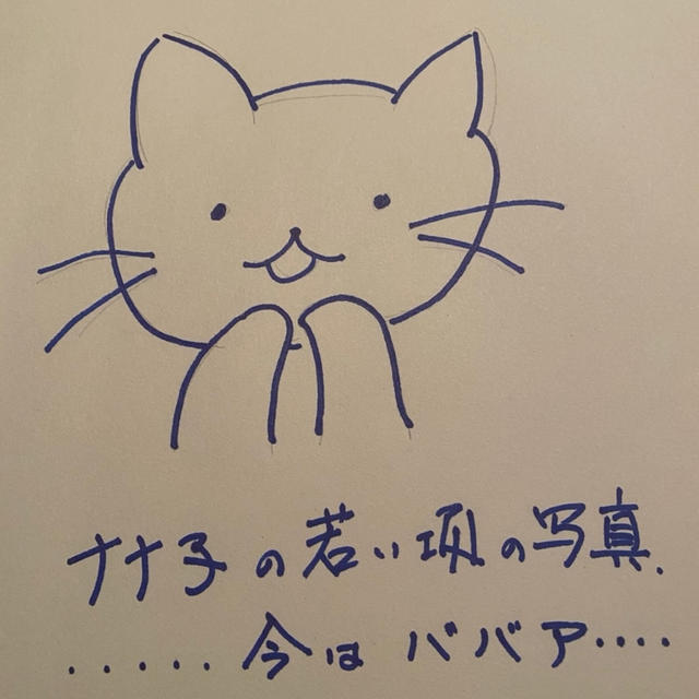 若草物語でなく....若猫物語