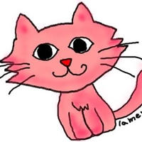 ピンク色の猫