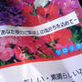 芽はでるか！？