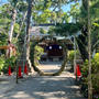 西宮市　鳴尾八幡神社 茅の輪くぐりの鳴尾エリアにあります。今...