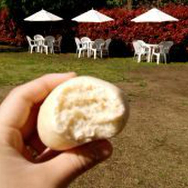 休日の白パンと、しっかりこねて、しっかりガス抜きした角食パン。