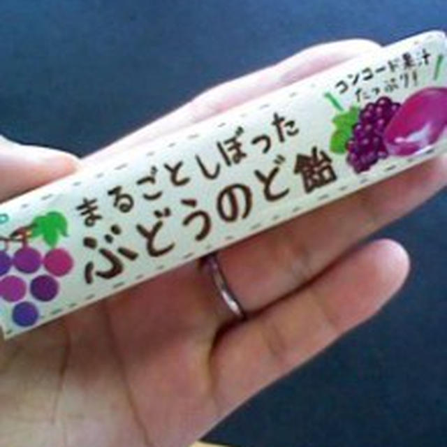 今日は審査会へ