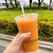 【コストコ】どうしても買いたかった物！と 大好きメロンスムージー♡