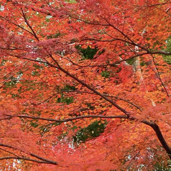 最近の楽しく学びあるお出かけ♪