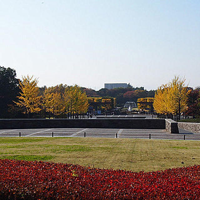 紅葉詣で第二弾・昭和記念公園