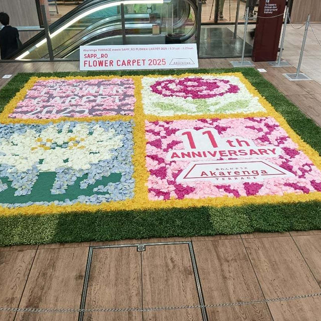 腰痛脊柱管狭窄症〜タリージェ錠11日目