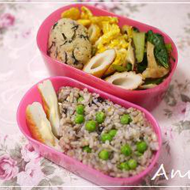 ☆ピース・ライス＆卯の花ハンバーグ☆
