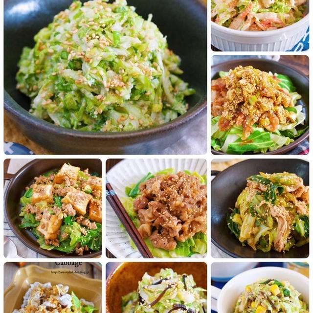 大量消費や野菜不足解消に！旬を丸ごと味わう♪『春キャベツを使った人気レシピ10選』