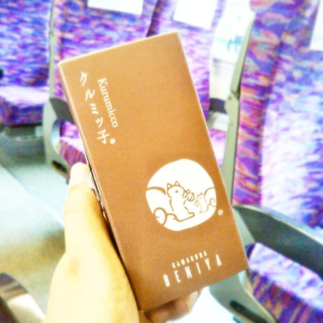 小旅行気分☆鎌倉から快適グリーンでまったり帰る
