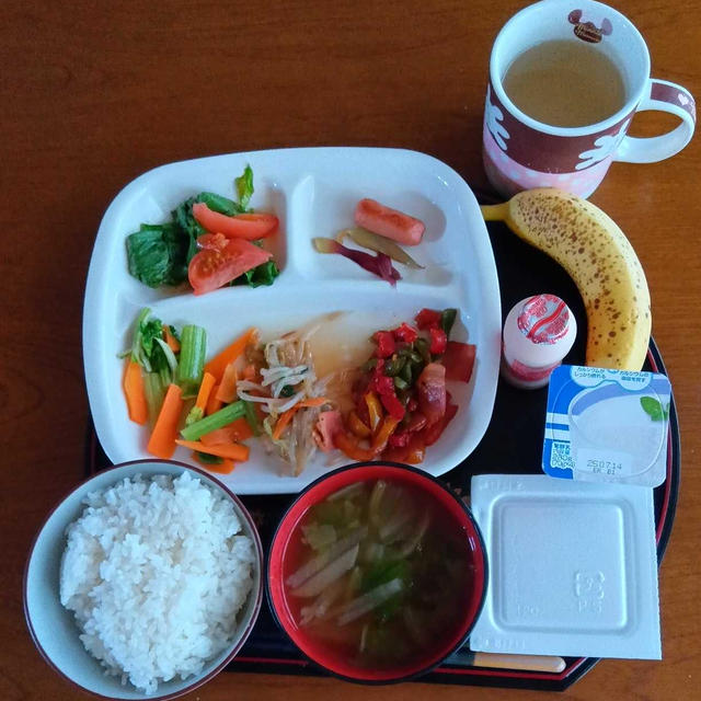 朝ご飯は８時10分　セロリ炒めとパプリカベーコン炒め
