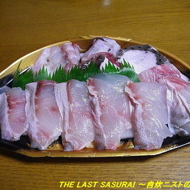【夕食】くえ鍋・石鯛のお造り・たことわけぎのぬた…