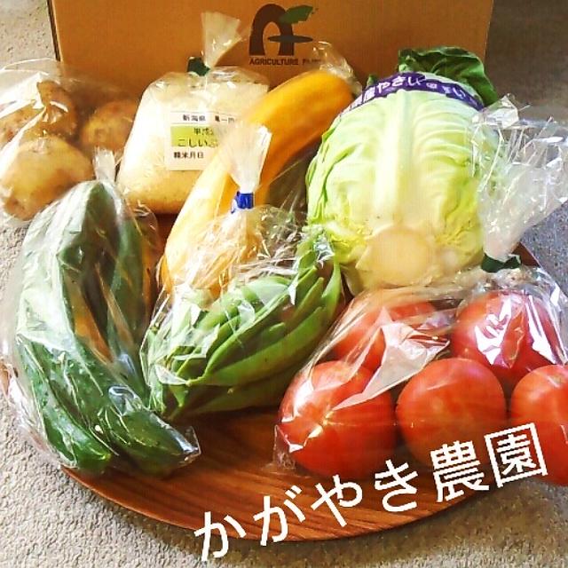 ミイルの　かがやき農園♪