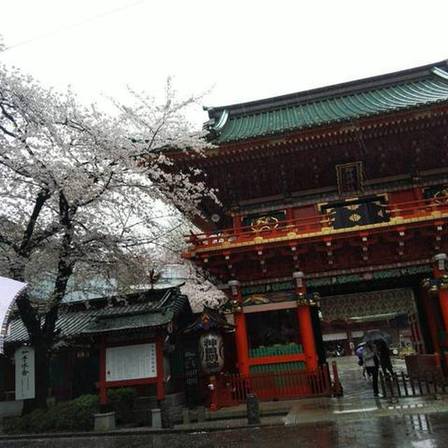 神田明神deお花見