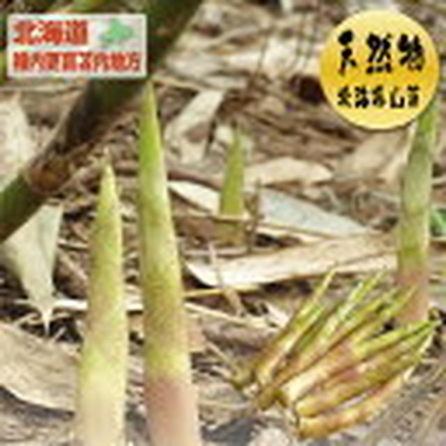 ぽち♪『天然根曲がり竹』たっぷり2kgセット★北海道かに＆スイーツ【てっぺん】