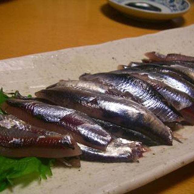 新鮮！かたくちいわしのお刺身