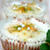 Citrus Cupcakes甘酸っぱいシトラスカップケーキ