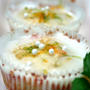 Citrus Cupcakes甘酸っぱいシトラスカップケーキ