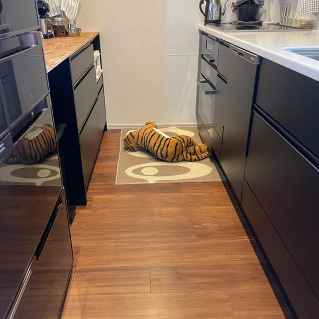 朝起きたら、キッチンにトラが寝そべっていた(´･_･`)