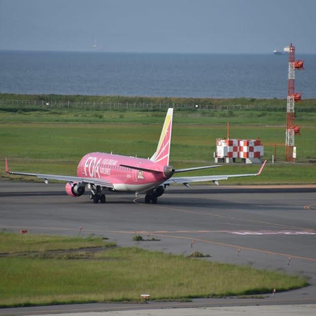 ピンクな飛行機