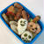 【こども弁当】ハロウィン弁当2017☆兄ちゃんのリクエストの遠足弁当