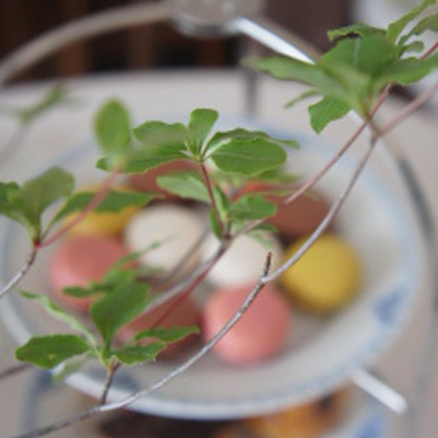 お友達と誕生日会。おうちご飯～サーモンときのこのクリームニョッキ～