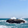 【徒然日記】G.W.海辺の休日〜植物育てはじめます〜