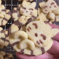 アンモニャイト猫のクッキー
