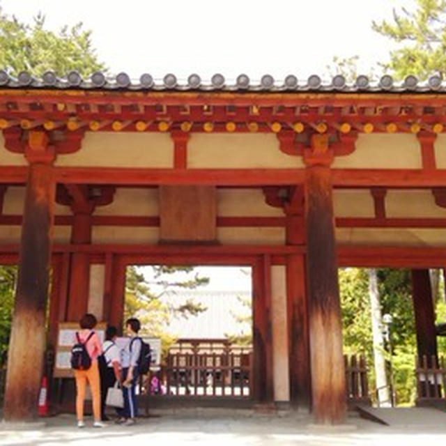 奈良までおでかけ♪～唐招提寺～