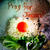Pray for Japan
