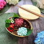 季節を愛でる紫陽花弁当が素敵アイディアです！